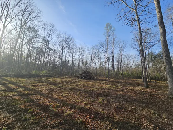 $129,900 | 7 Fletcher Pickett Road, Gruetli Laager, TN 37339