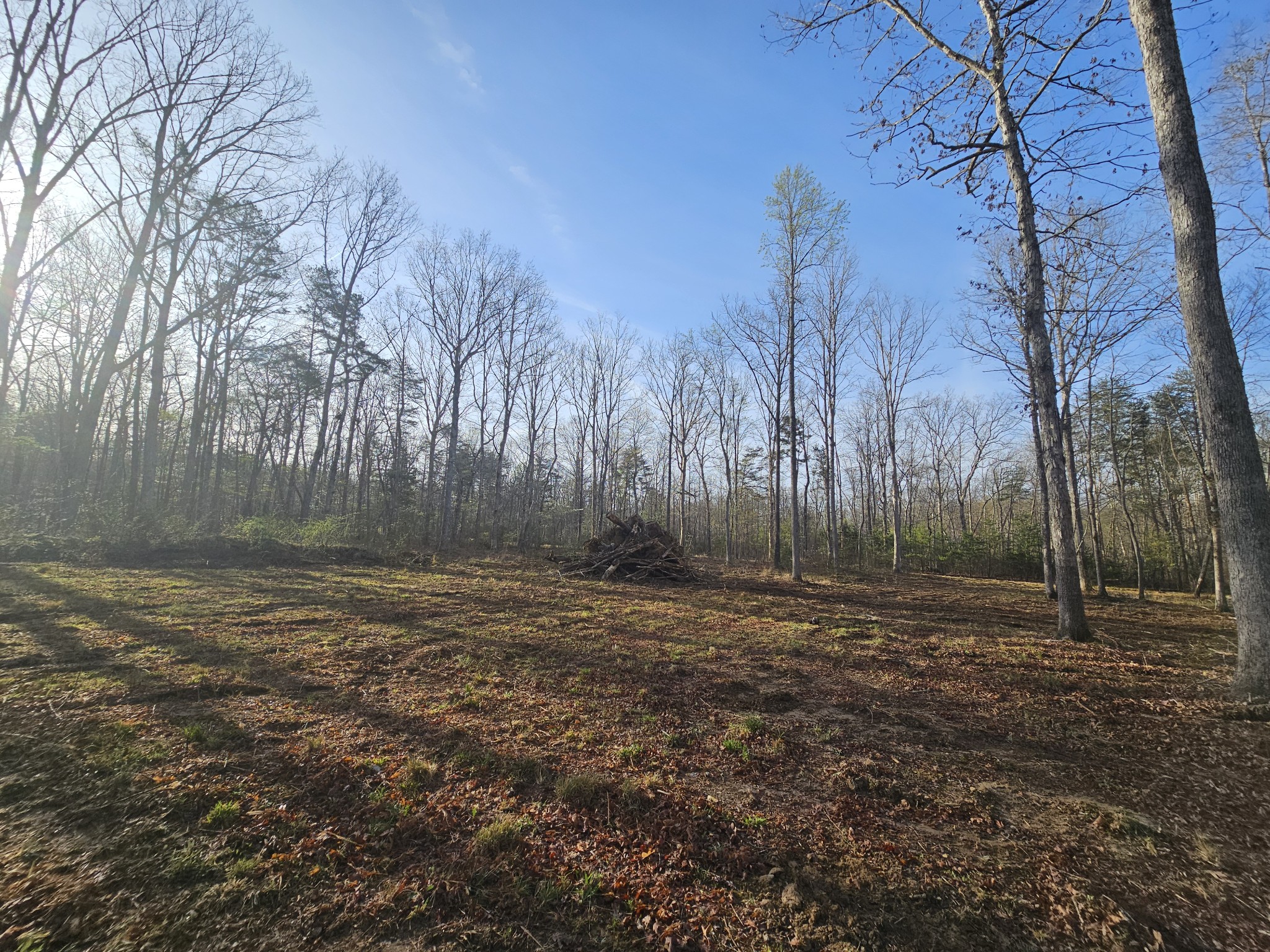 7 Fletcher Pickett Road Gruetli Laager, TN 37339 - Photo 4 of 27