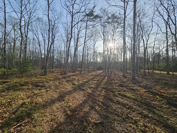 $129,900 | 7 Fletcher Pickett Road, Gruetli Laager, TN 37339