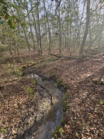 $129,900 | 7 Fletcher Pickett Road, Gruetli Laager, TN 37339