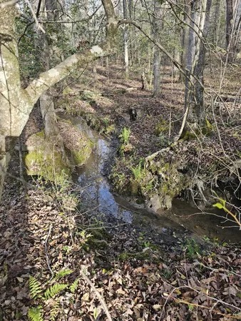 $129,900 | 7 Fletcher Pickett Road, Gruetli Laager, TN 37339