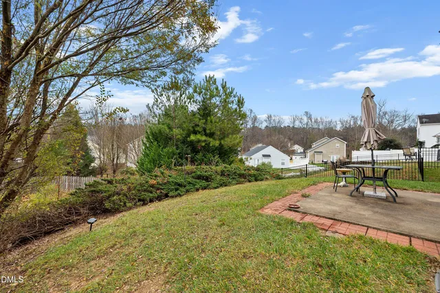 a view of a park with large trees