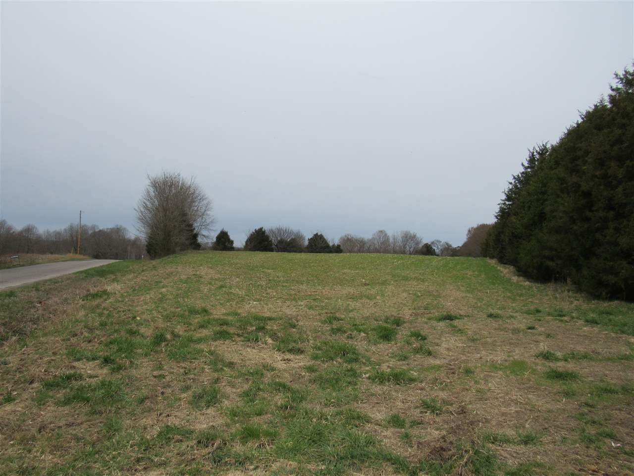 9601 Capitol Hill Road Fountain Run, KY 42133 - Photo 8 of 12 Gallery Image 8