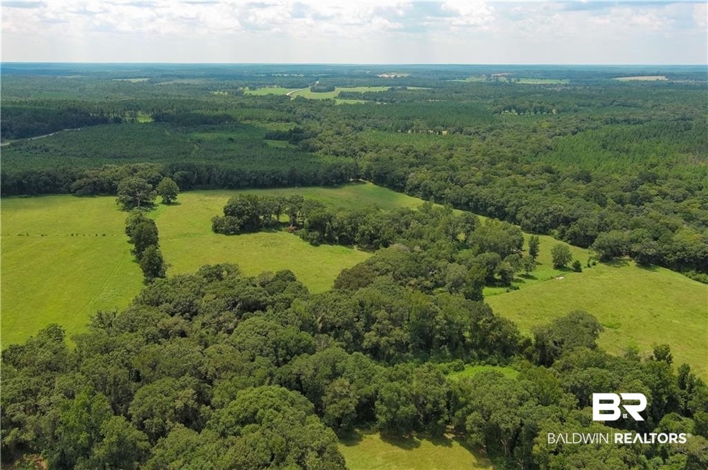 0 Circle R Farm Drive Florala, AL 36442 - Photo 7 of 25