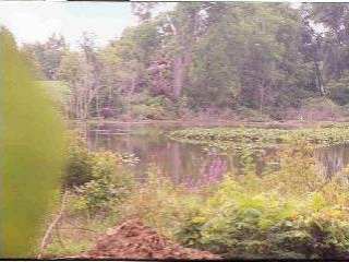 17240 Junction Road Addison, MI 49220 - Photo 4 of 6 540264-3.JPG