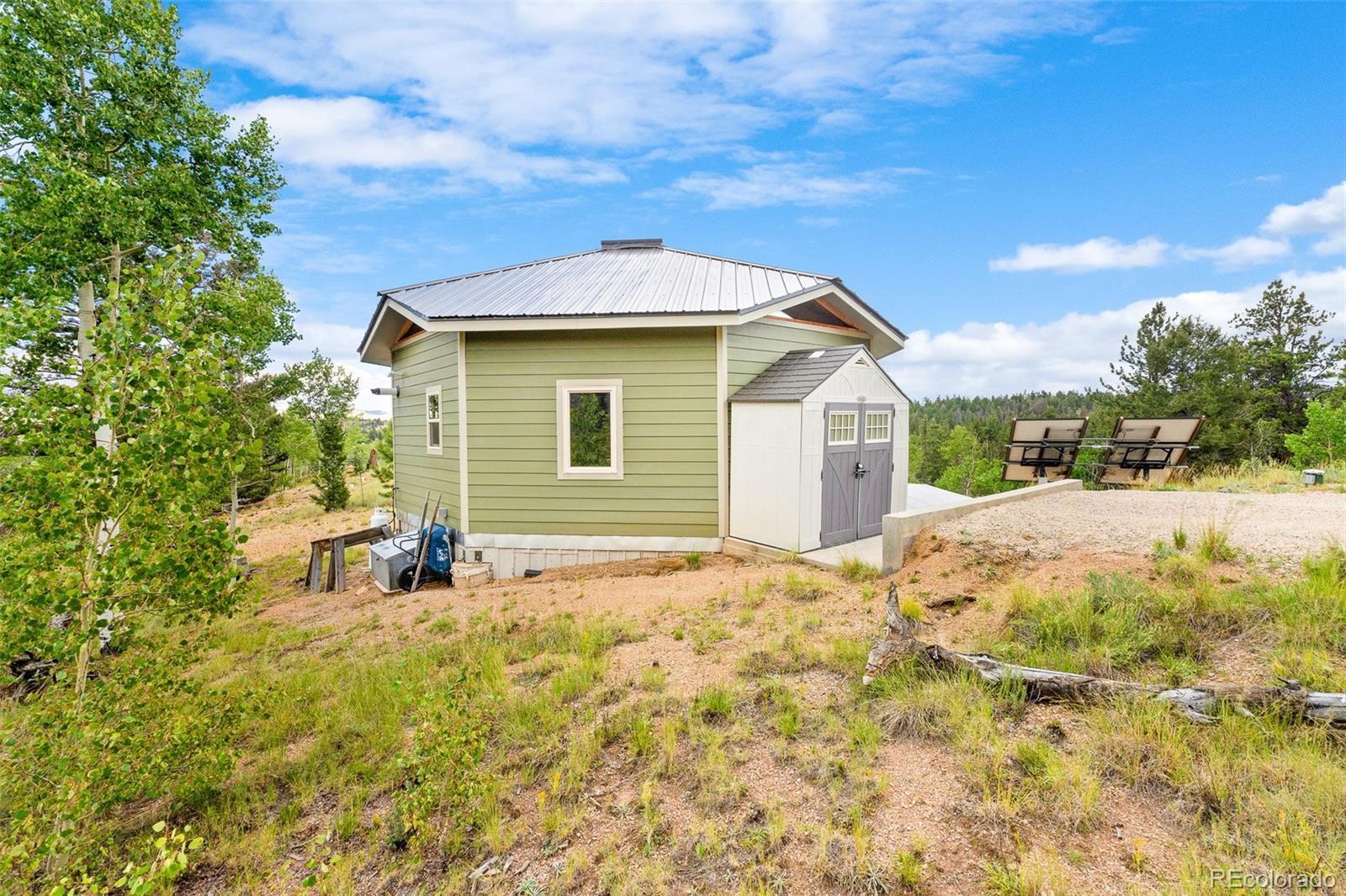 65 Riata Run Hartsel, CO 80449 - Photo 11 of 46