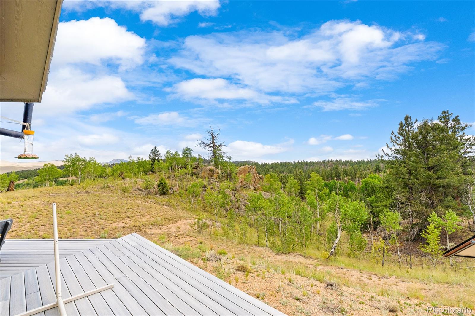 65 Riata Run Hartsel, CO 80449 - Photo 12 of 46