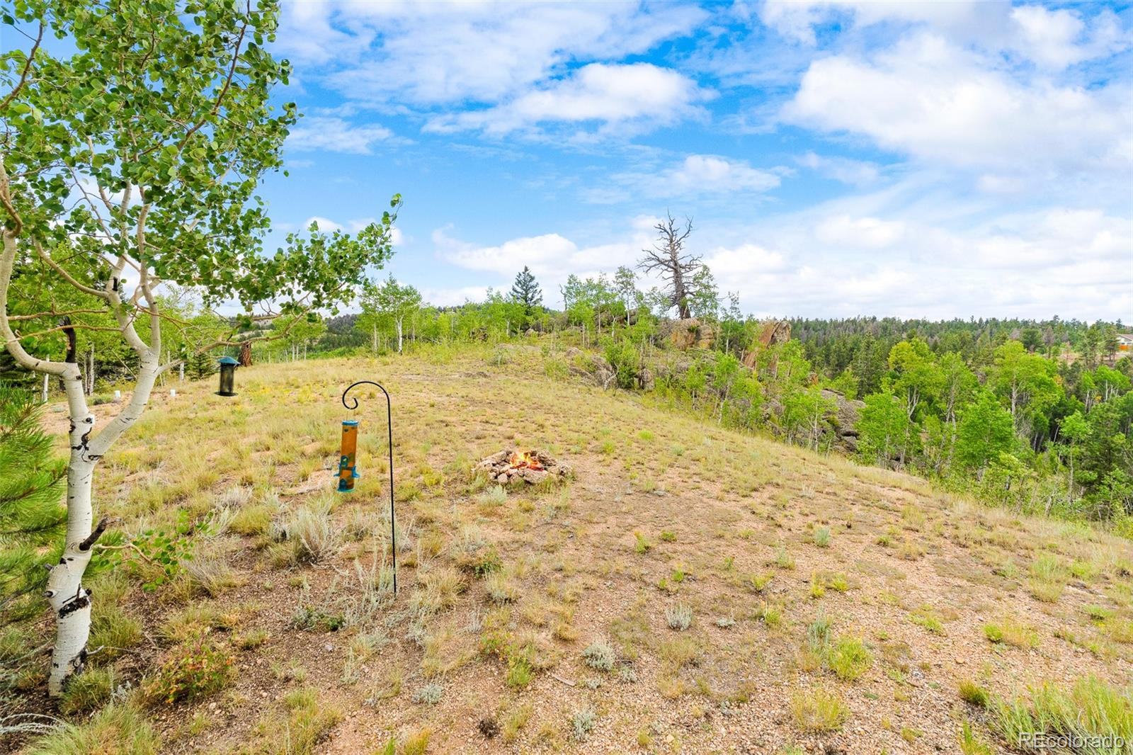 65 Riata Run Hartsel, CO 80449 - Photo 13 of 46