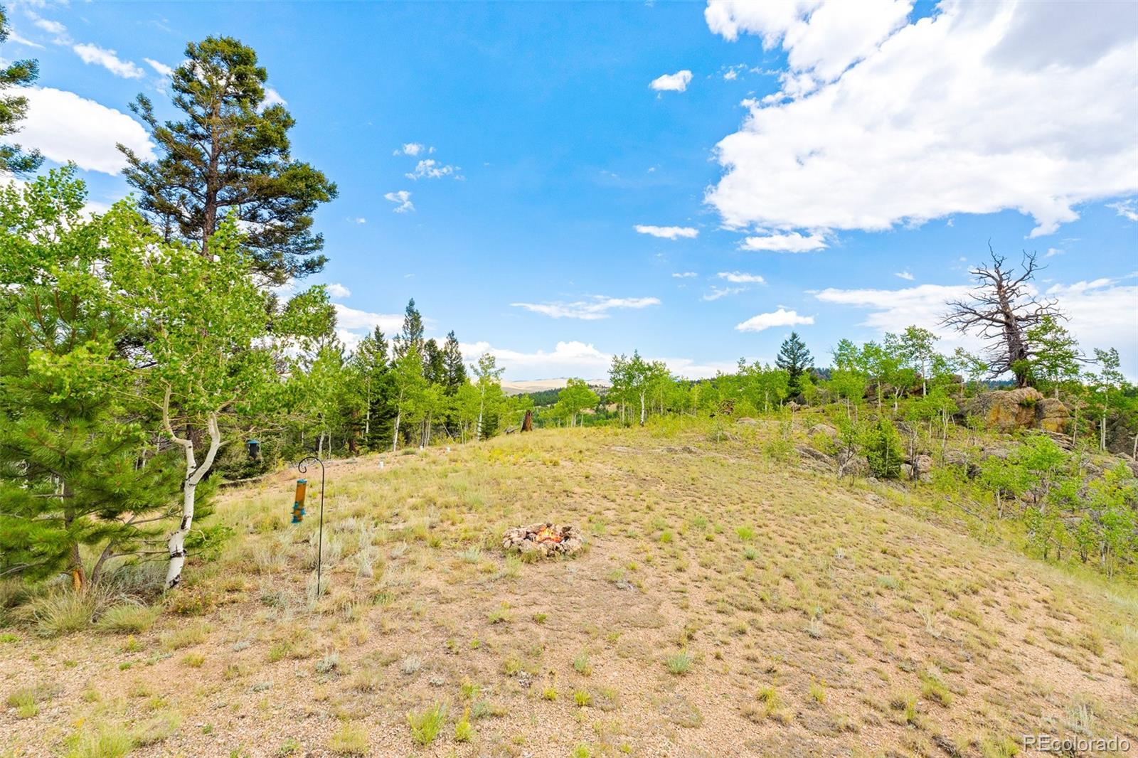 65 Riata Run Hartsel, CO 80449 - Photo 14 of 46