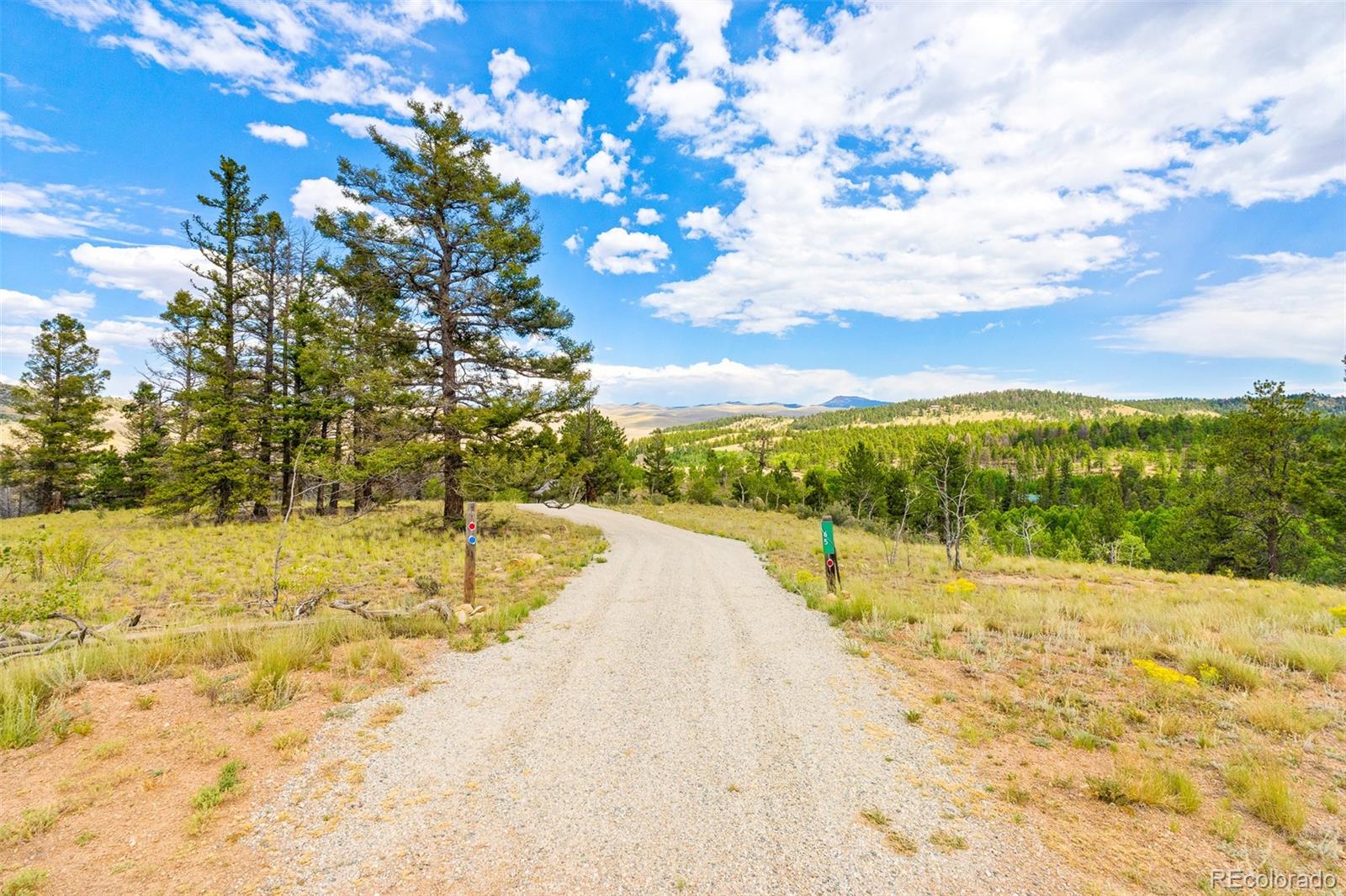 65 Riata Run Hartsel, CO 80449 - Photo 15 of 46