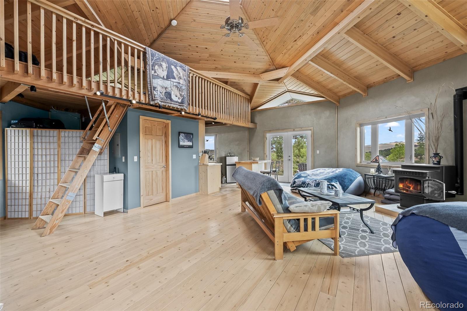 65 Riata Run Hartsel, CO 80449 - Photo 16 of 46