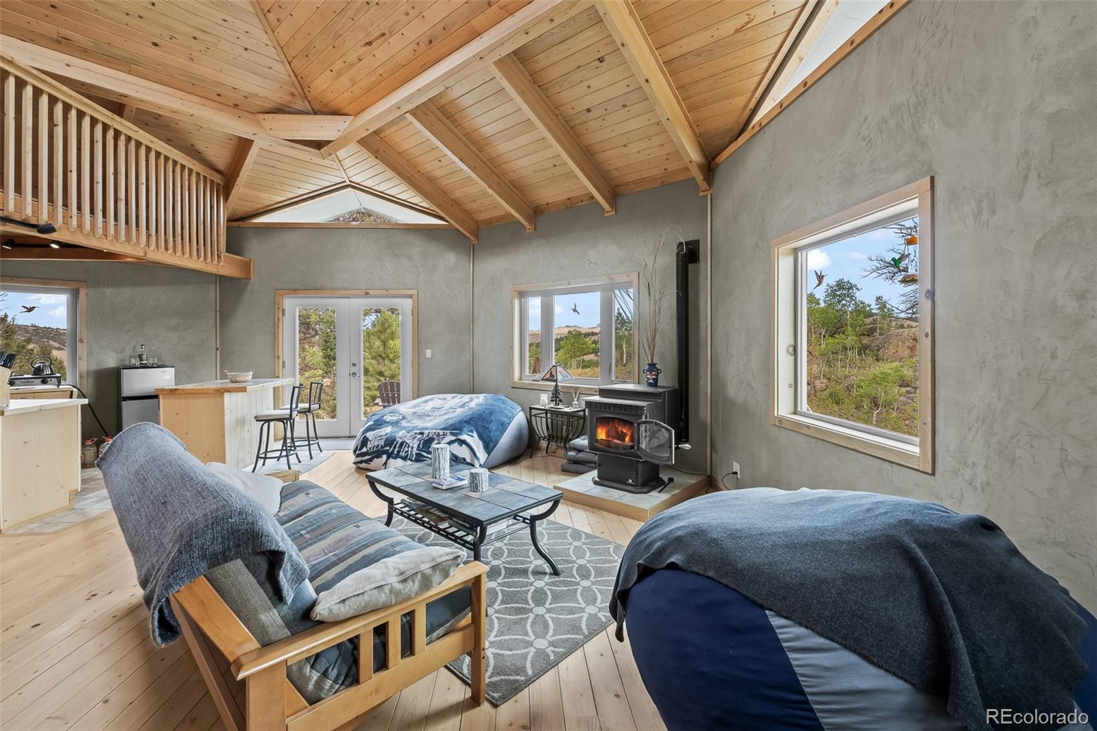 65 Riata Run Hartsel, CO 80449 - Photo 17 of 46