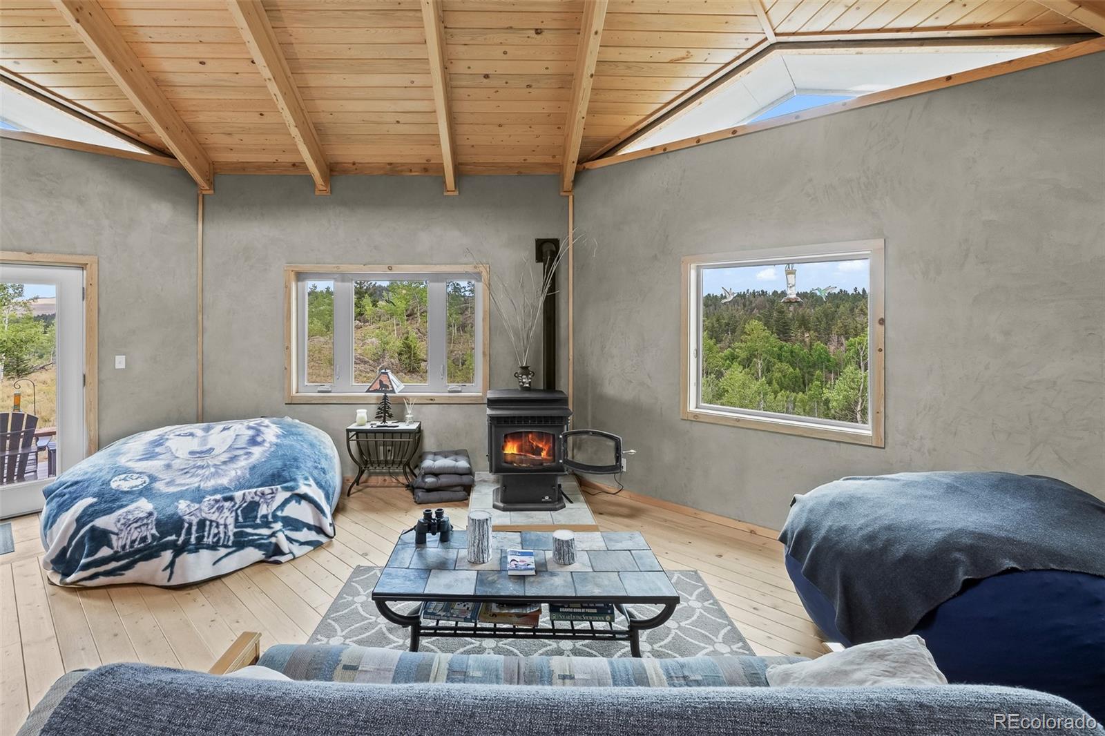 65 Riata Run Hartsel, CO 80449 - Photo 18 of 46