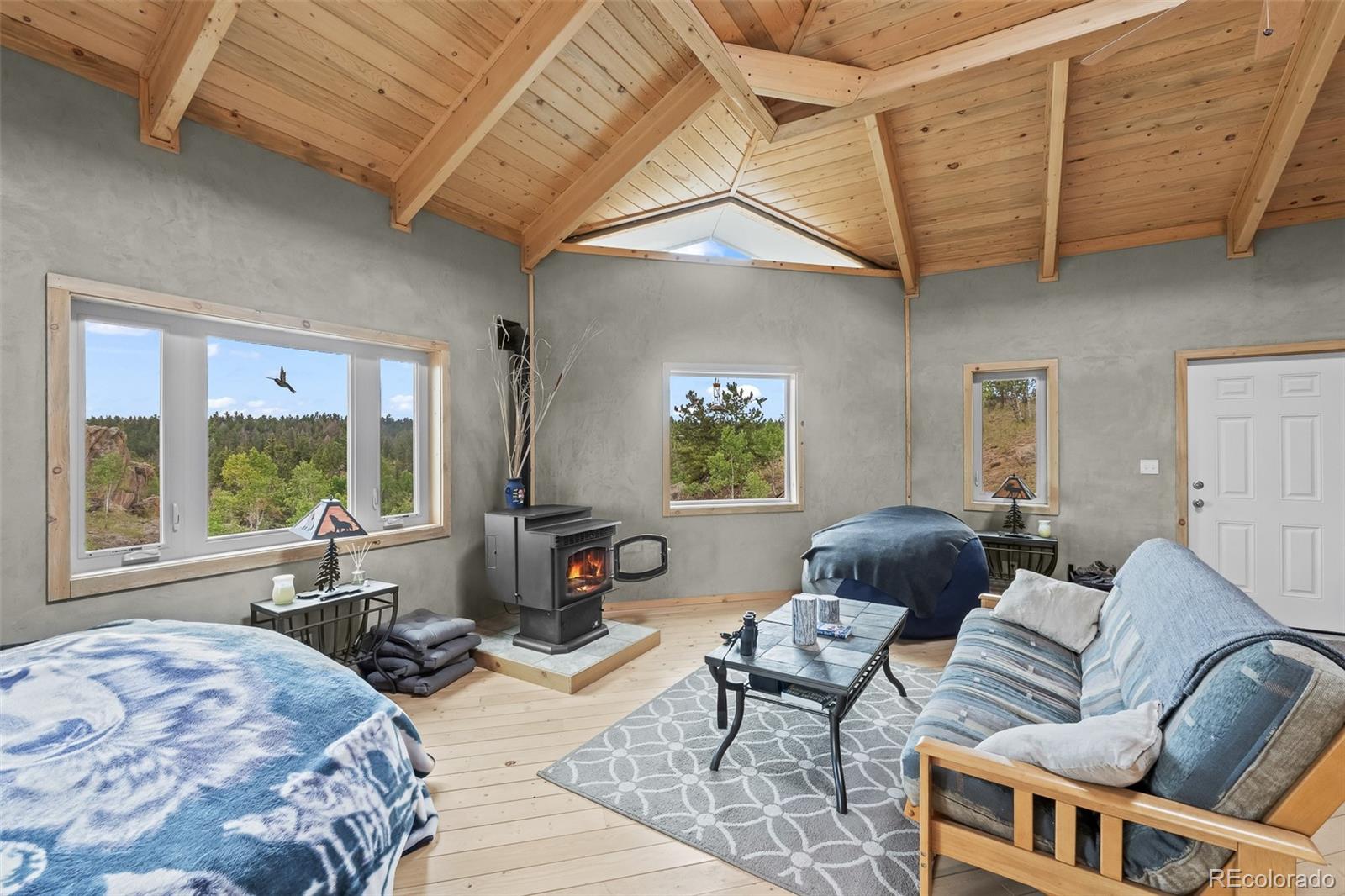 65 Riata Run Hartsel, CO 80449 - Photo 19 of 46