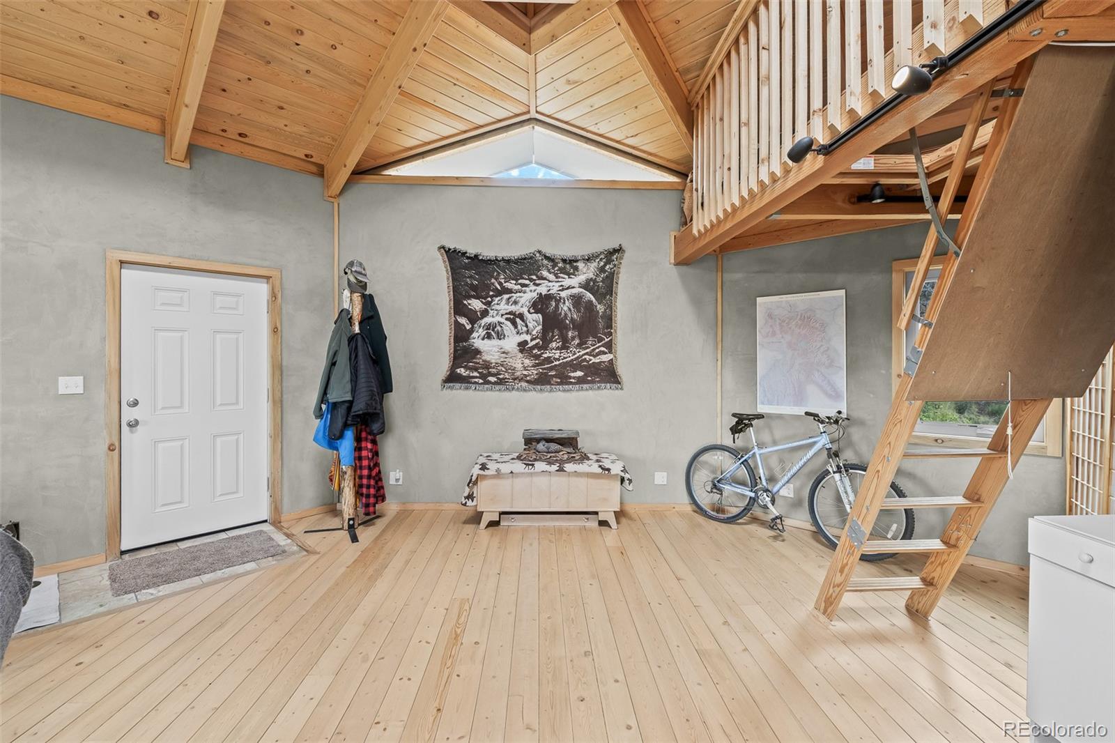 65 Riata Run Hartsel, CO 80449 - Photo 21 of 46