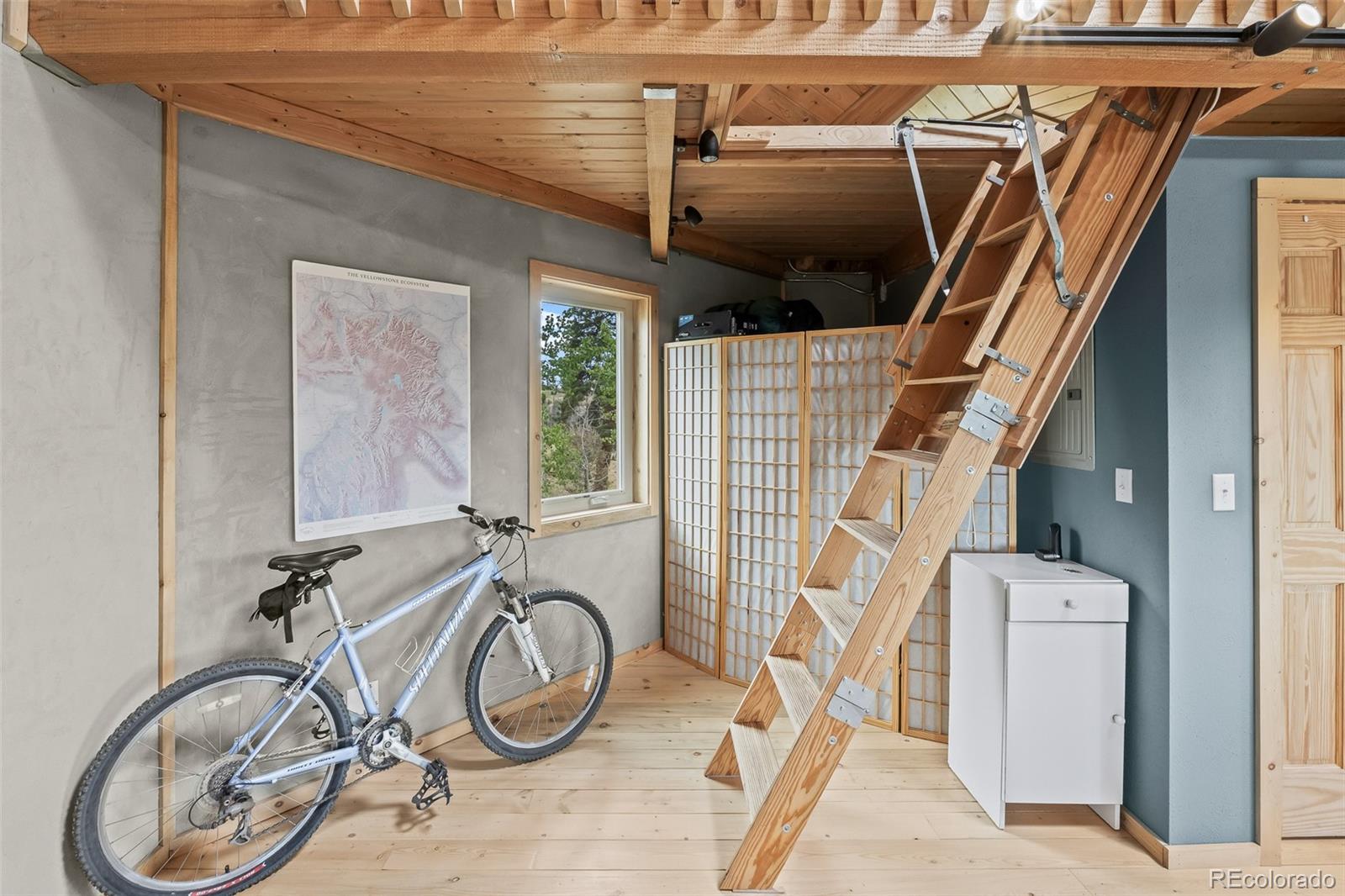 65 Riata Run Hartsel, CO 80449 - Photo 22 of 46