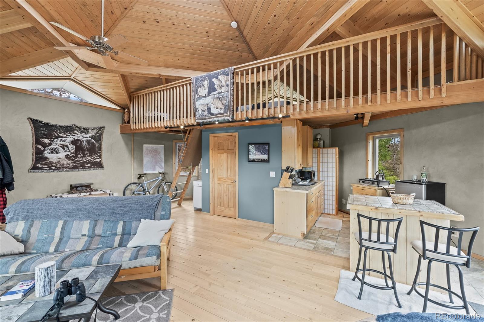 65 Riata Run Hartsel, CO 80449 - Photo 27 of 46