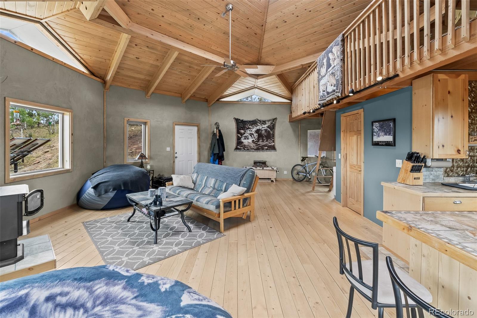 65 Riata Run Hartsel, CO 80449 - Photo 31 of 46