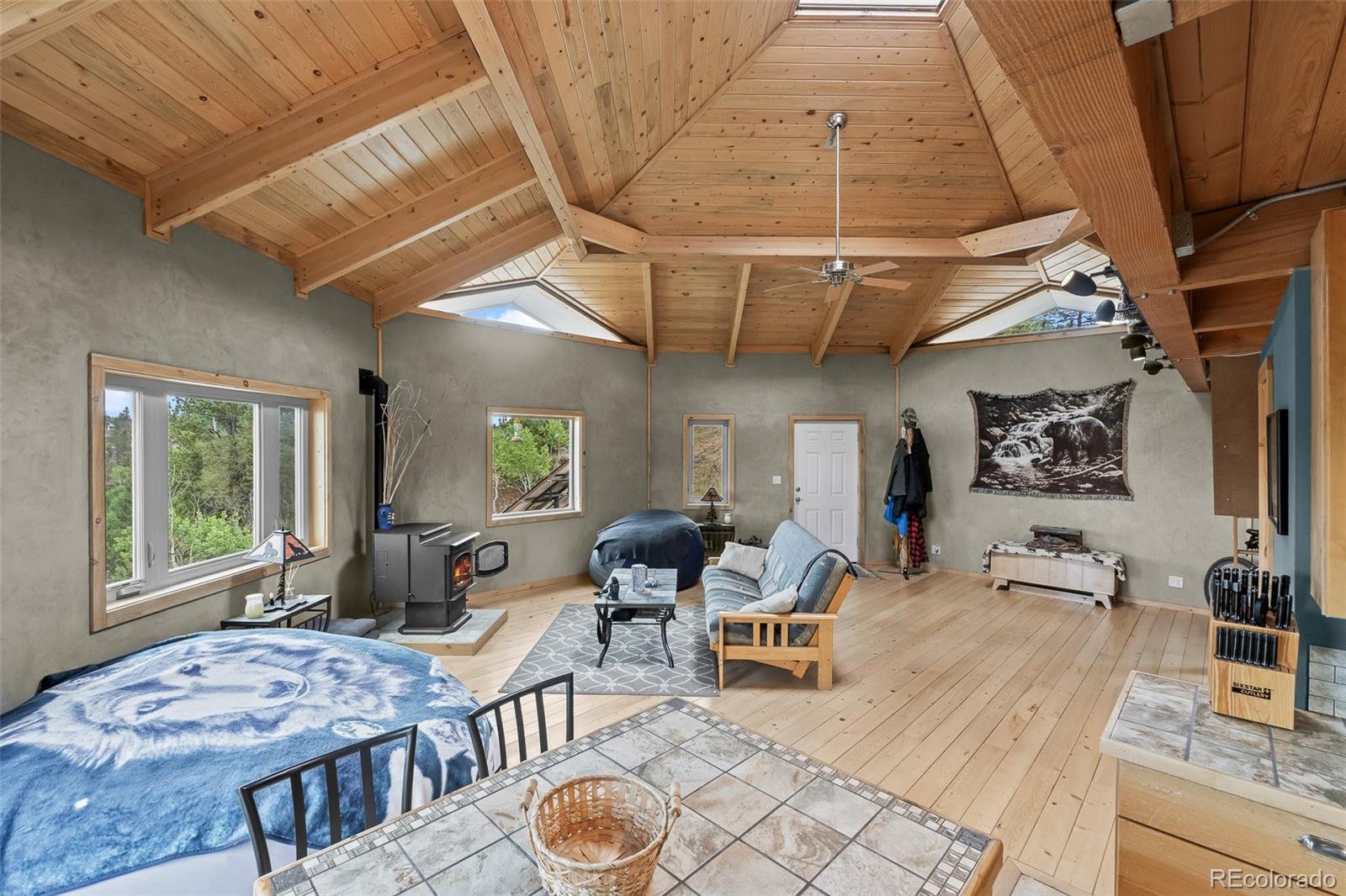 65 Riata Run Hartsel, CO 80449 - Photo 32 of 46