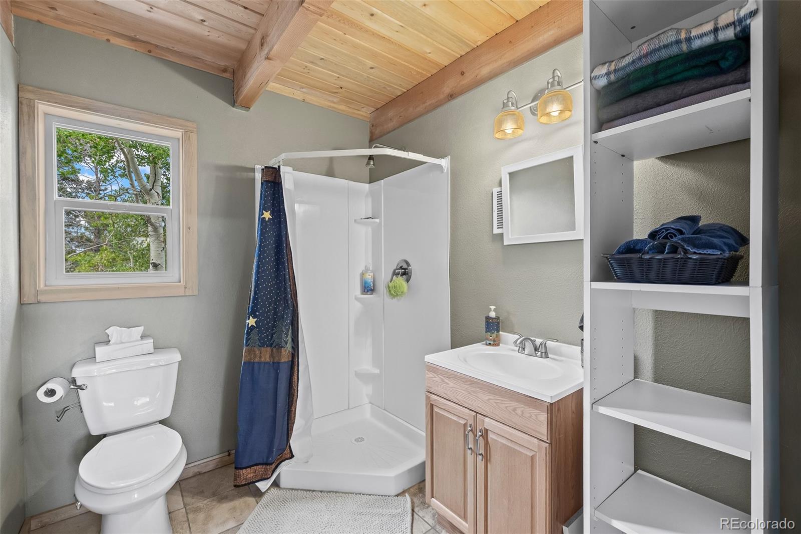 65 Riata Run Hartsel, CO 80449 - Photo 39 of 46