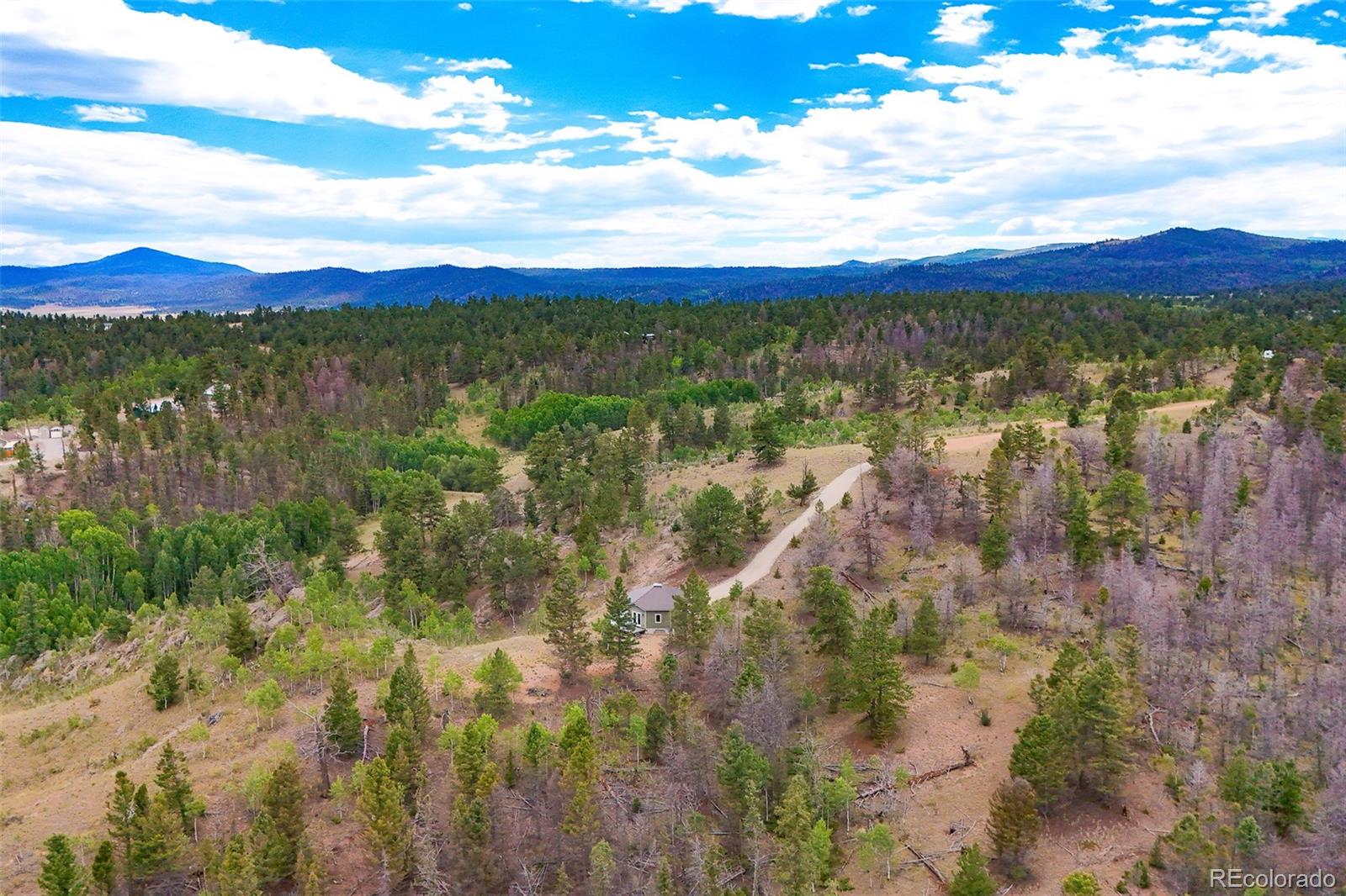 65 Riata Run Hartsel, CO 80449 - Photo 43 of 46