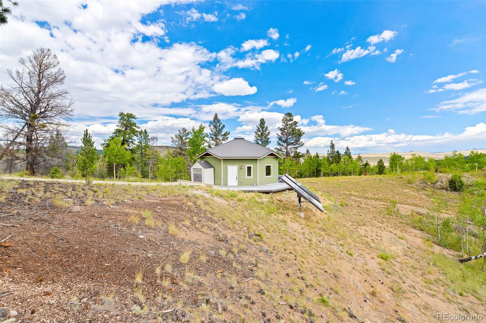 65 Riata Run Hartsel, CO 80449 - Photo 5 of 46