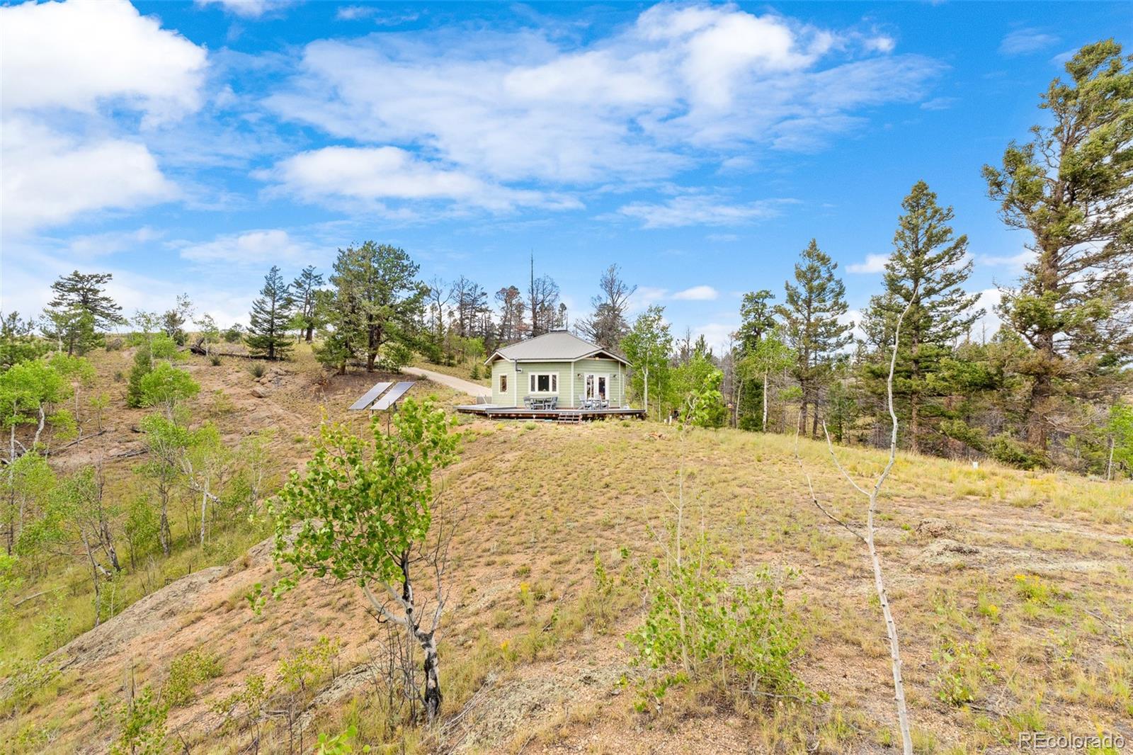 65 Riata Run Hartsel, CO 80449 - Photo 9 of 46