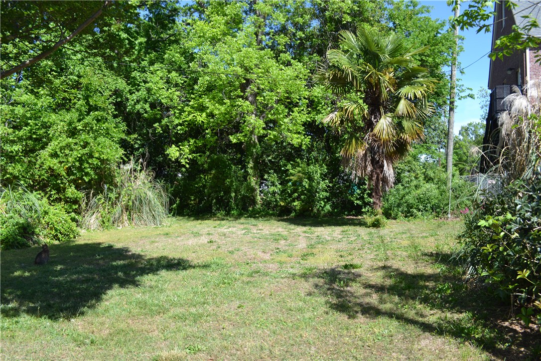 205 B East Broad Street Anderson, SC 29621 - Photo 10 of 27 This spacious yard offers a verdant backdrop, perfect for outdoor enjoyment and serene living.