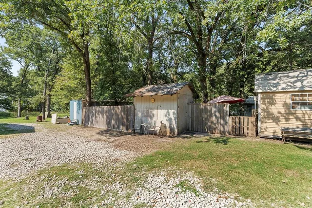 a close up of a tree