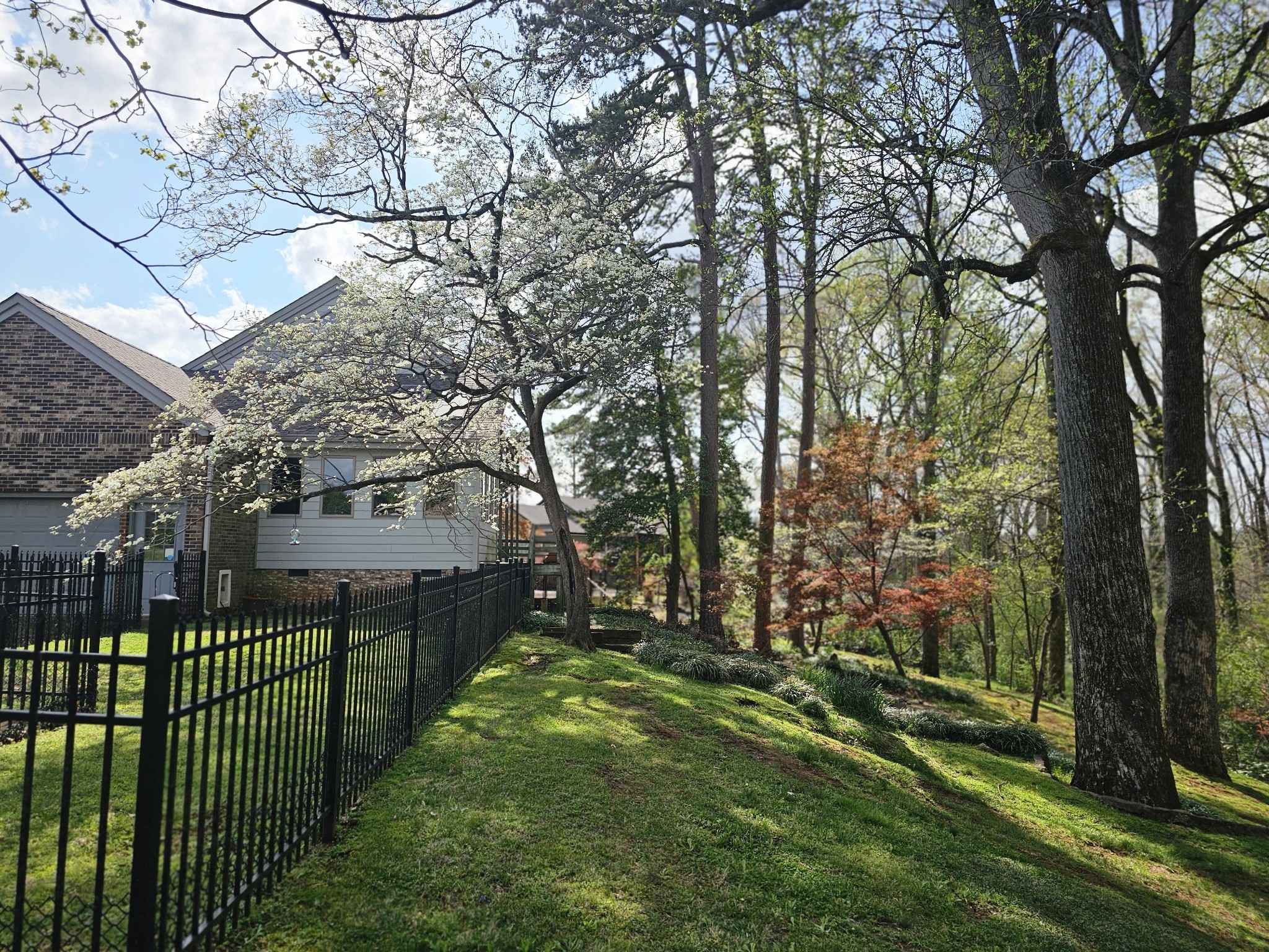 144 Wood Bluff Road Winchester, TN 37398 - Photo 4 of 63 a view of a wrought iron fences in front of house