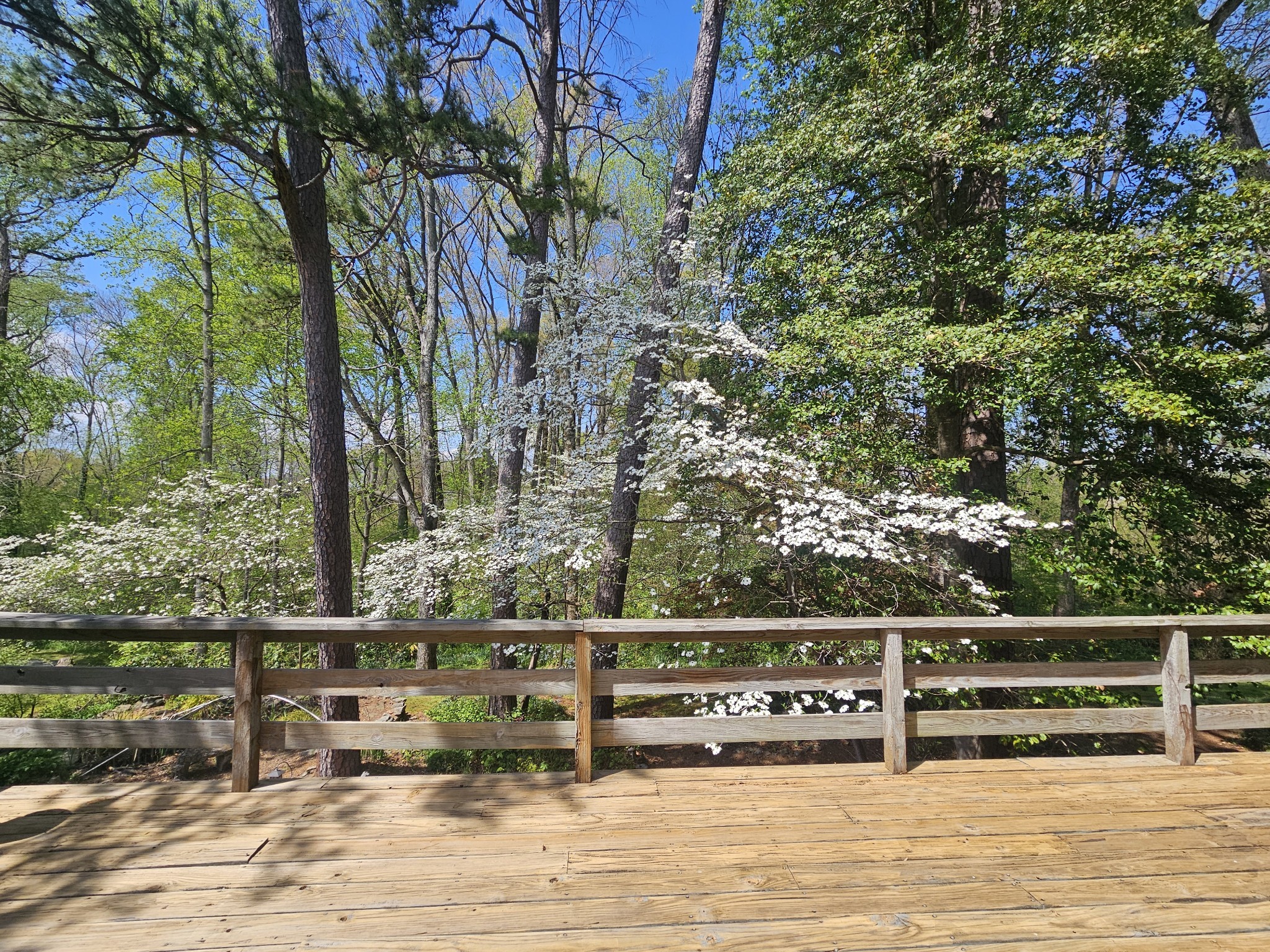 144 Wood Bluff Road Winchester, TN 37398 - Photo 45 of 63 a view of balcony with wooden floor and fence