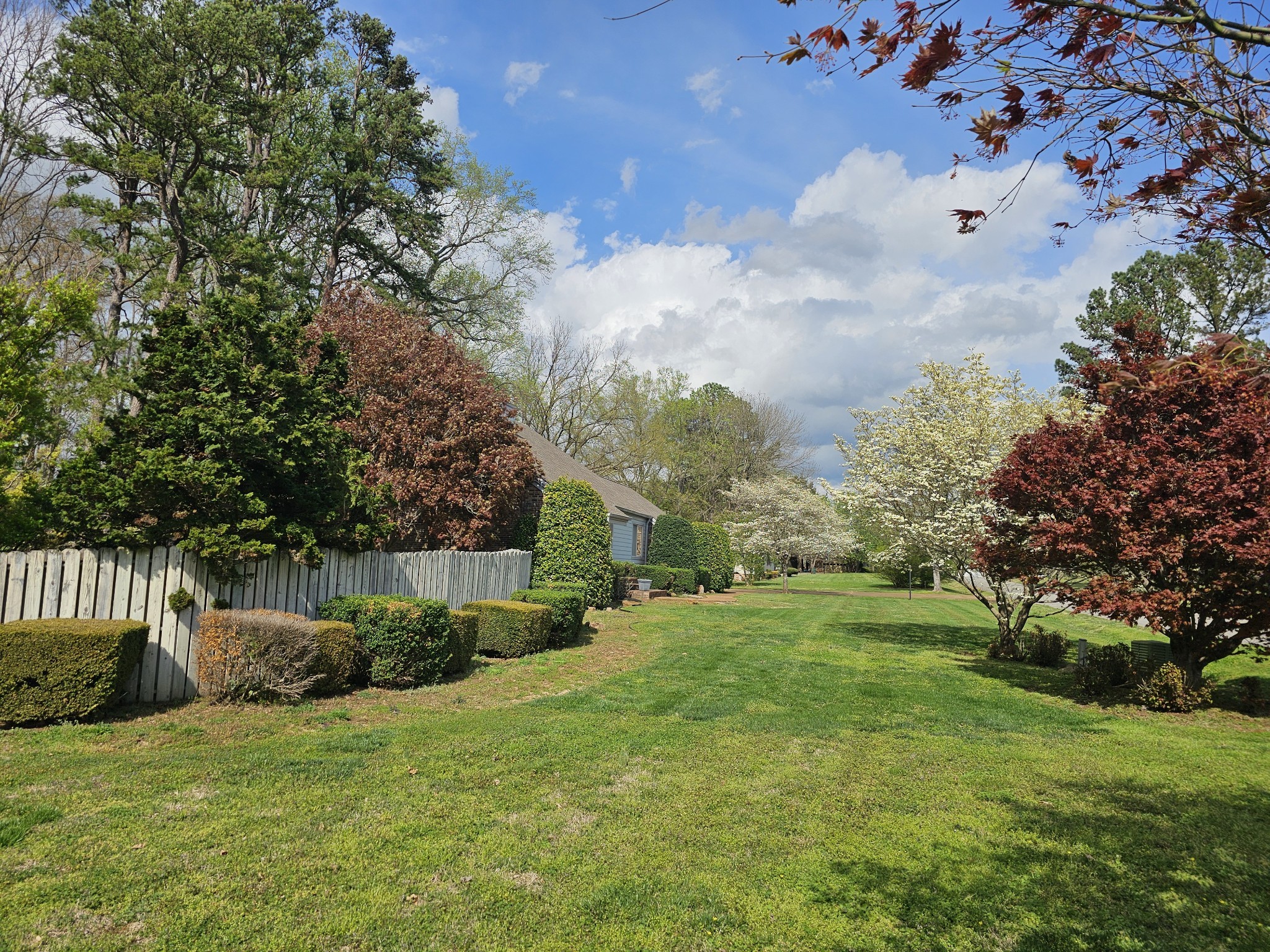 144 Wood Bluff Road Winchester, TN 37398 - Photo 6 of 63