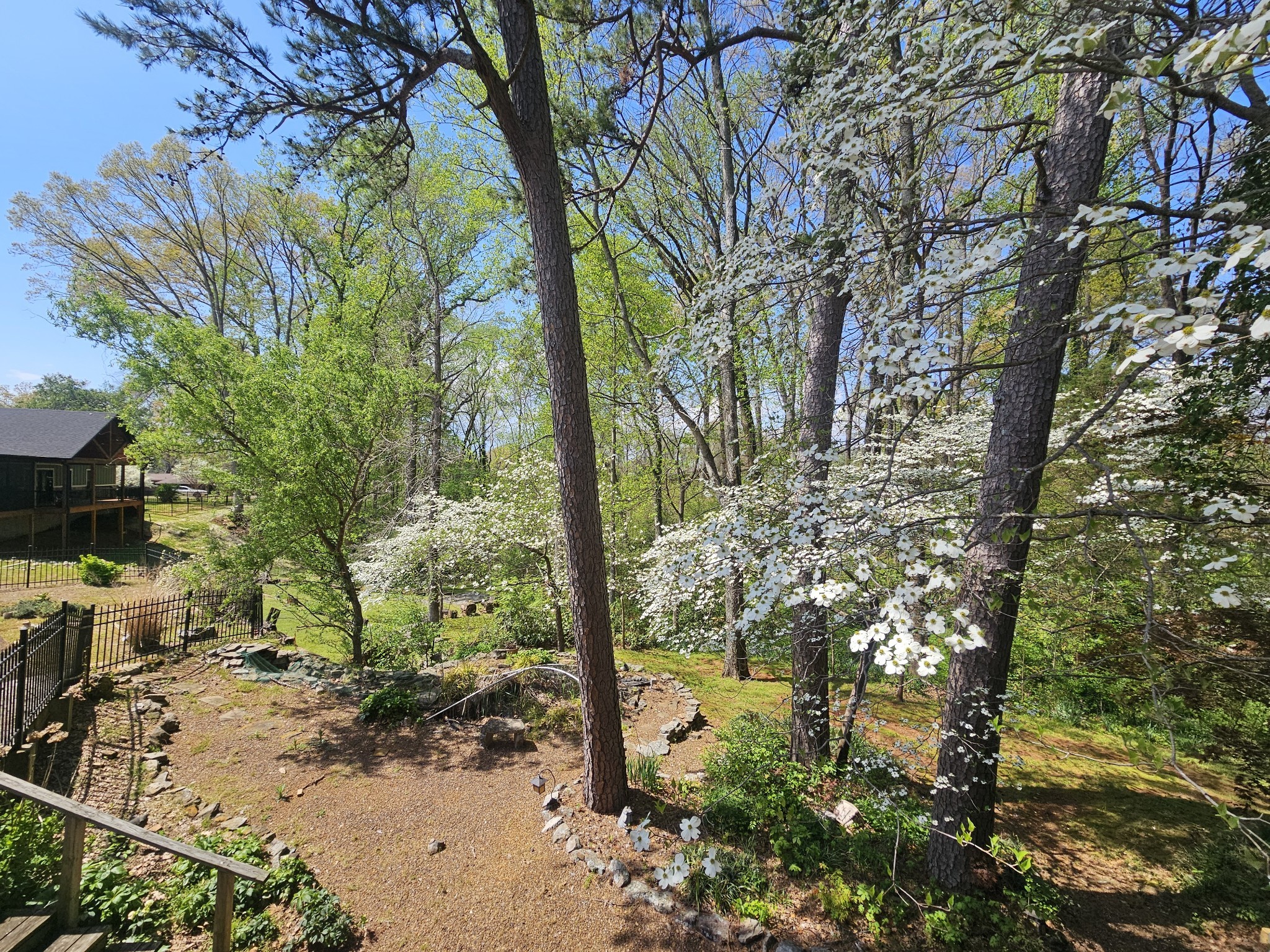 144 Wood Bluff Road Winchester, TN 37398 - Photo 7 of 63 a backyard of a house with lots of green space