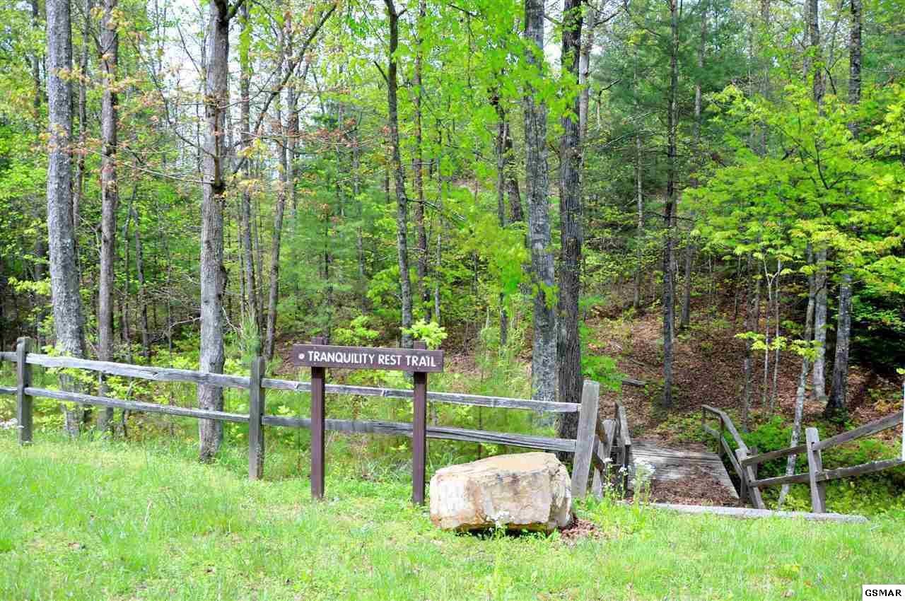 13 Whetstone Road Sevierville, TN 37862 - Photo 28 of 29