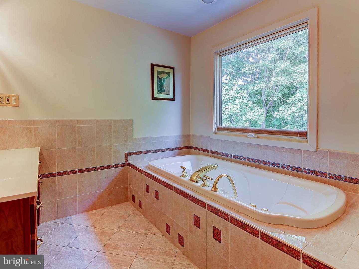 1 Yeger Road Princeton Junction, NJ 08550 - Photo 14 of 24 Master Bathroom