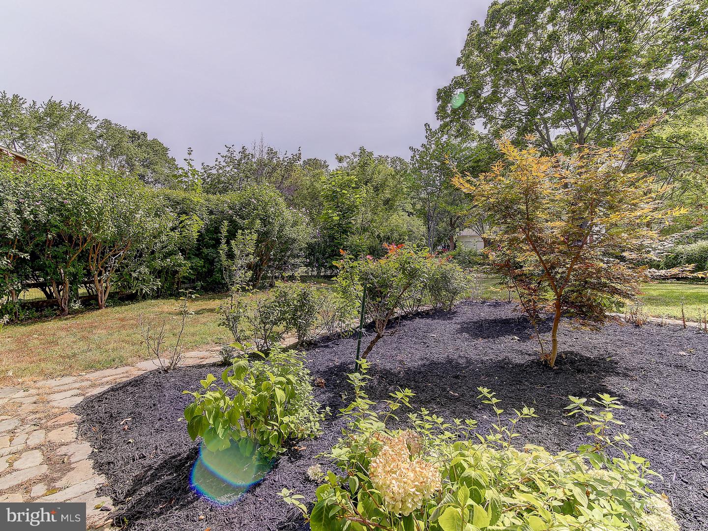 1 Yeger Road Princeton Junction, NJ 08550 - Photo 22 of 24 Side Yard