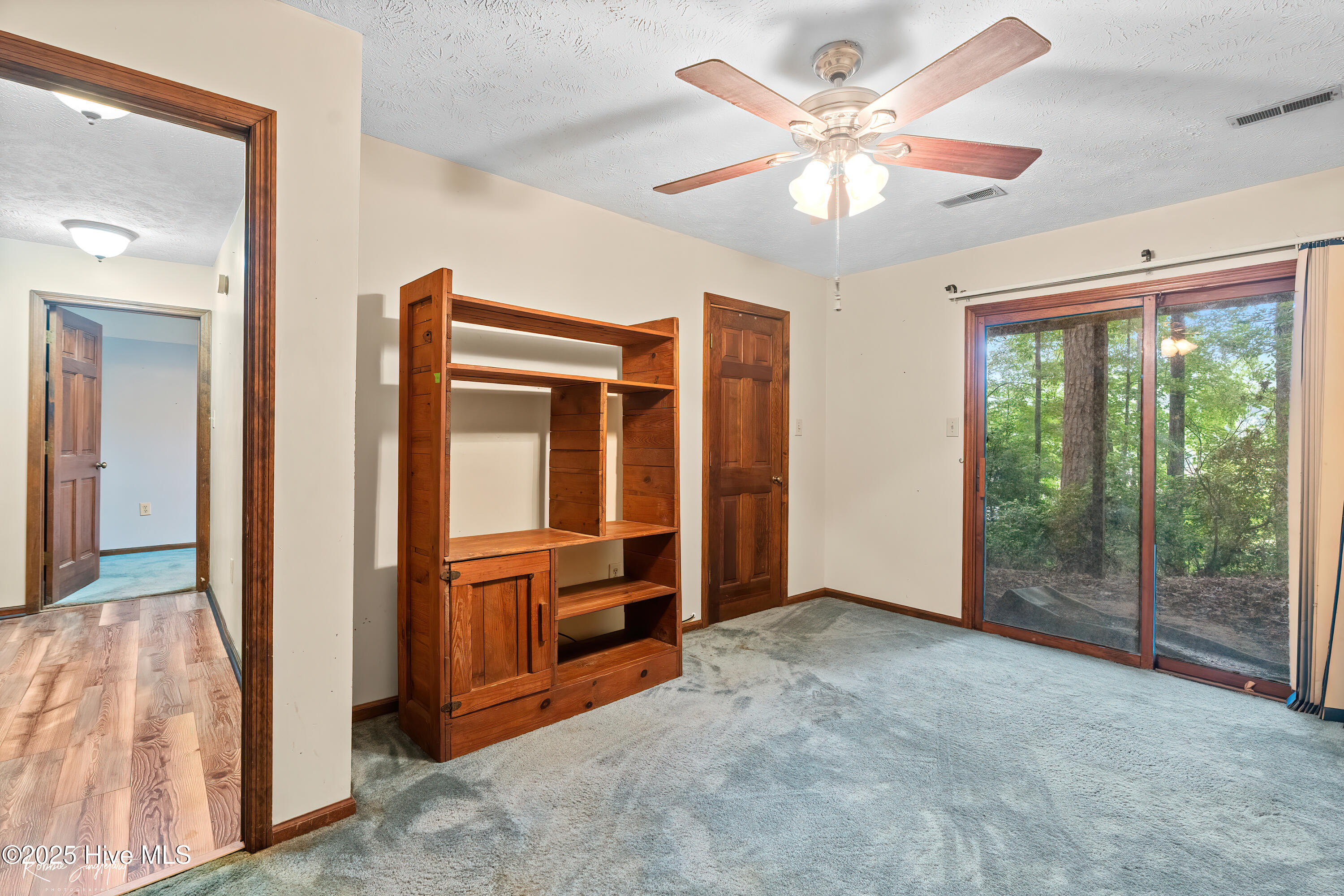 299 Rankin Lake Road Ellerbe, NC 28338 - Photo 25 of 61 RS 1 A7409561