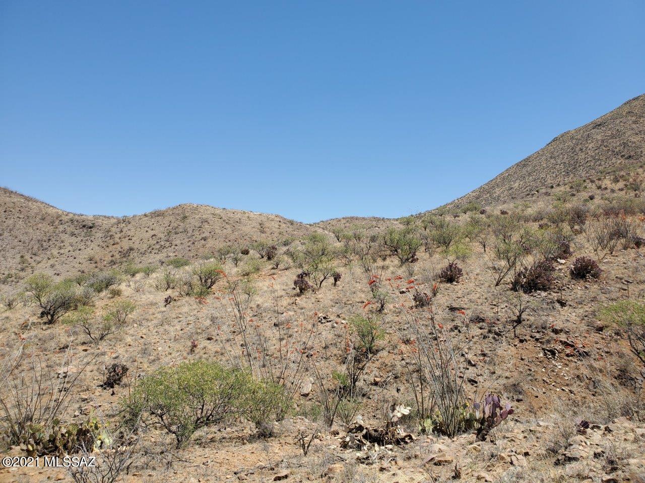 1695 Vía San Cayetano, Unit 7 Rio Rico, AZ 85648 - Photo 33 of 36