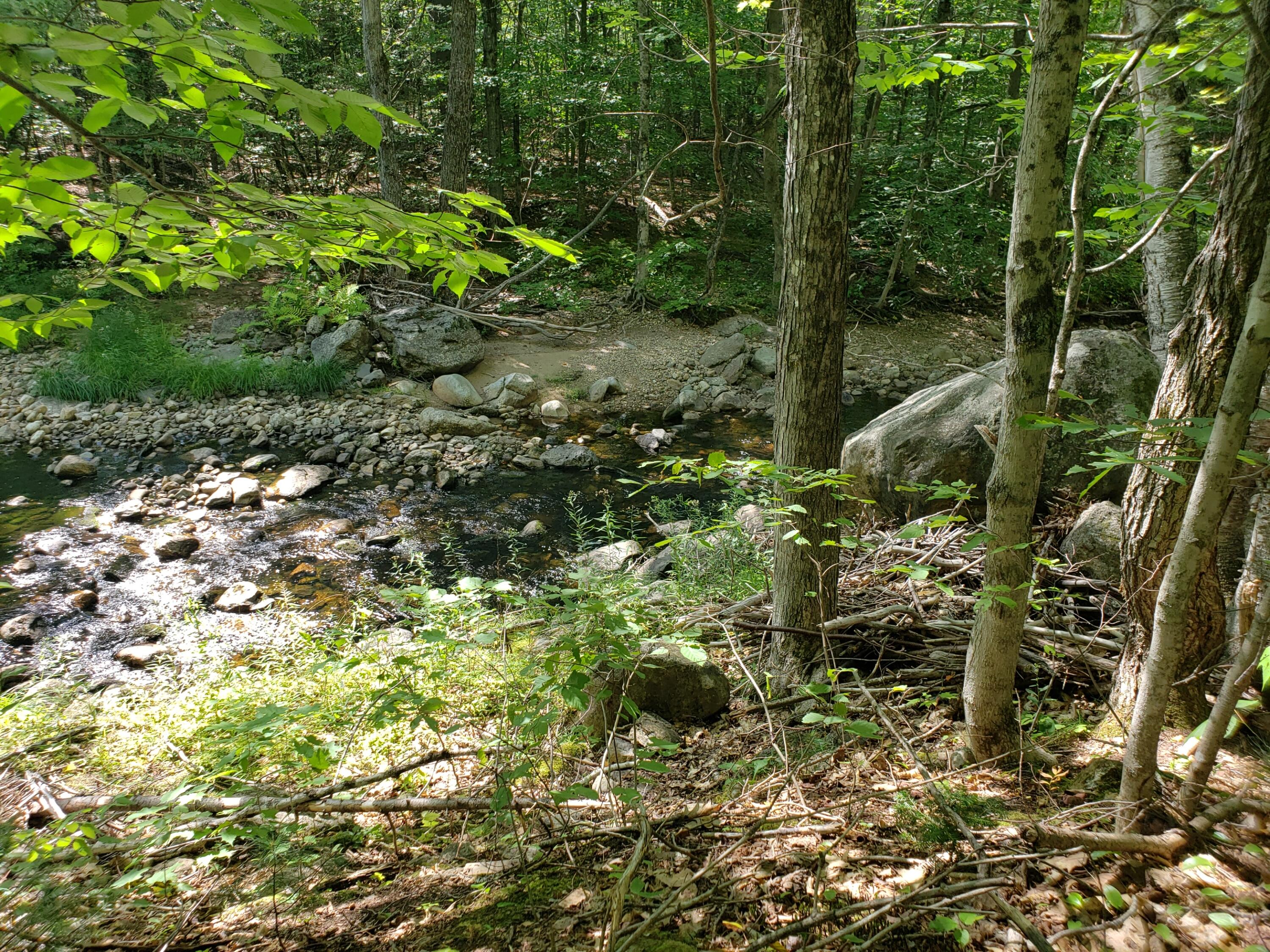 Tbd Tyler Road Bethel, ME 04217 - Photo 2 of 26 River/rocks