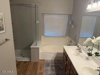 9335 West Heber Road Tolleson, AZ 85353 - Photo 12 of 15 Master Bathroom