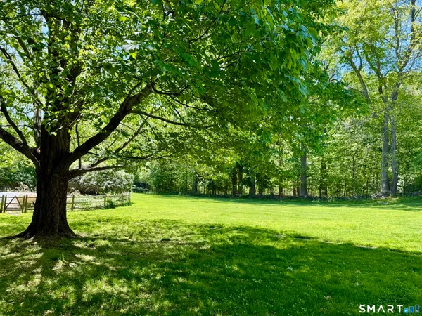 a view of a lush green space