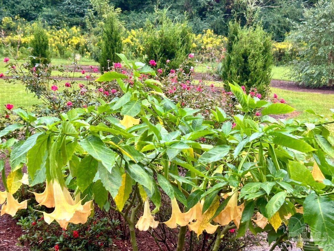 5494 Blake Lane Pace, FL 32571 - Photo 6 of 31