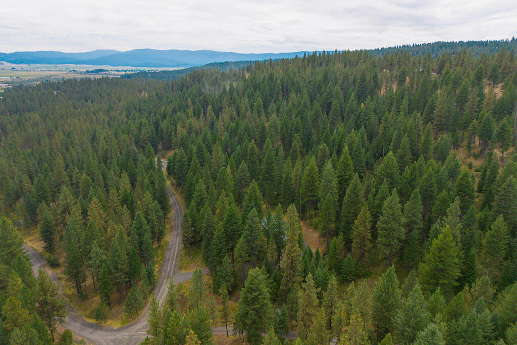 4025 Little Salmon Road New Meadows, ID 83654 - Photo 54 of 62 Gallery Image 54
