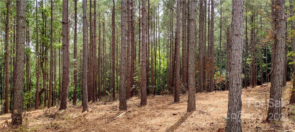 485 Stewart Rock Road Stony Point, NC 28678 - Photo 1 of 14 Gallery Image 1