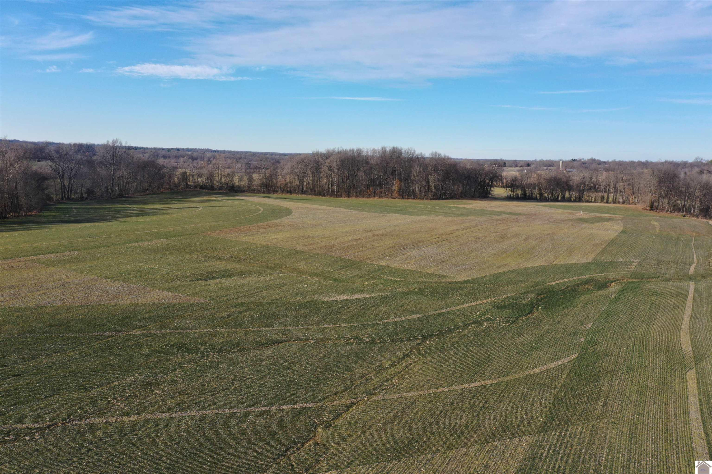 Kingston Road, Unit AND KY94 Water Valley, KY 42085 - Photo 7 of 11 Photo 7