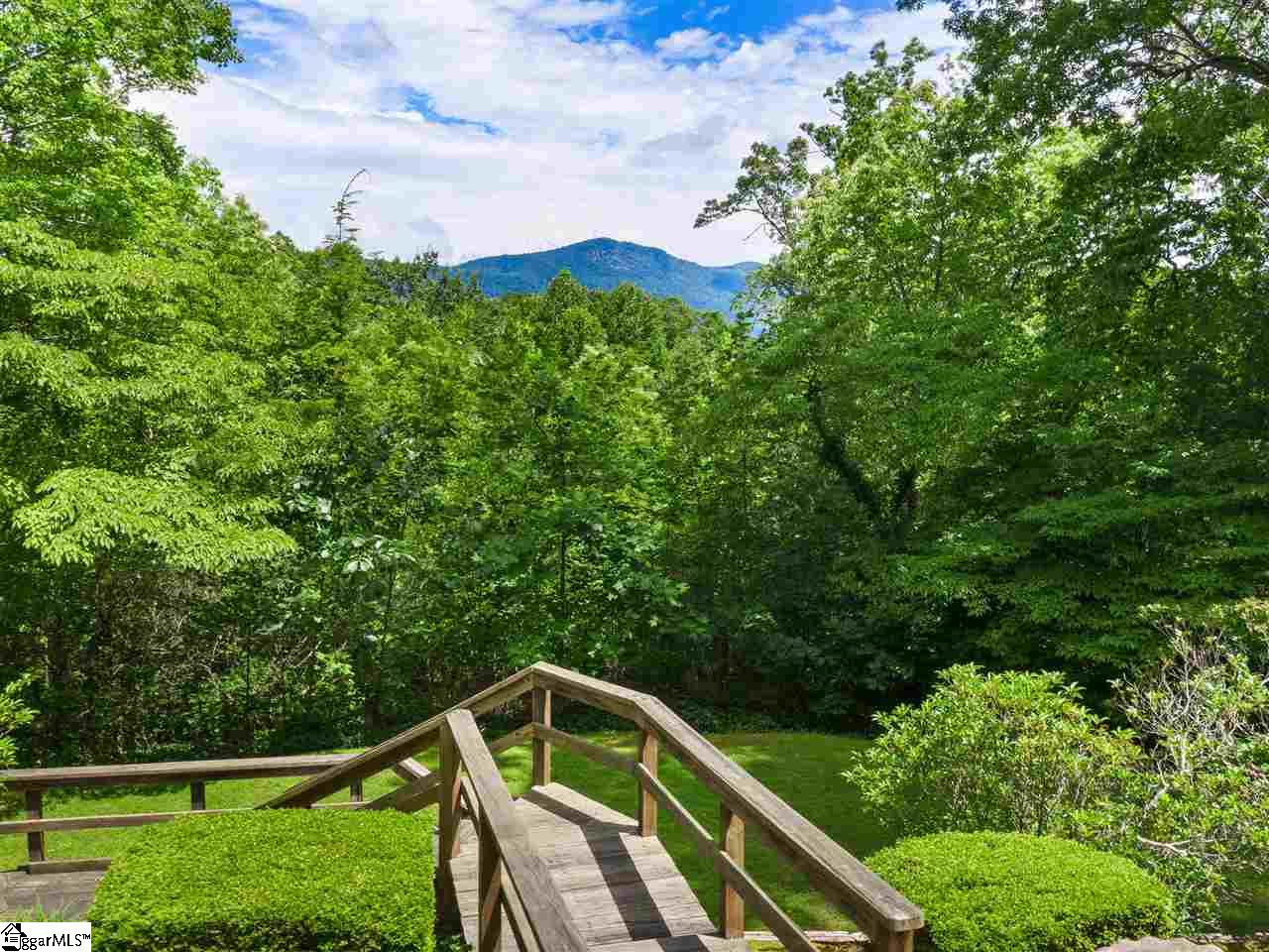 434 Hogback Road Tryon, NC 28782 - Photo 26 of 29