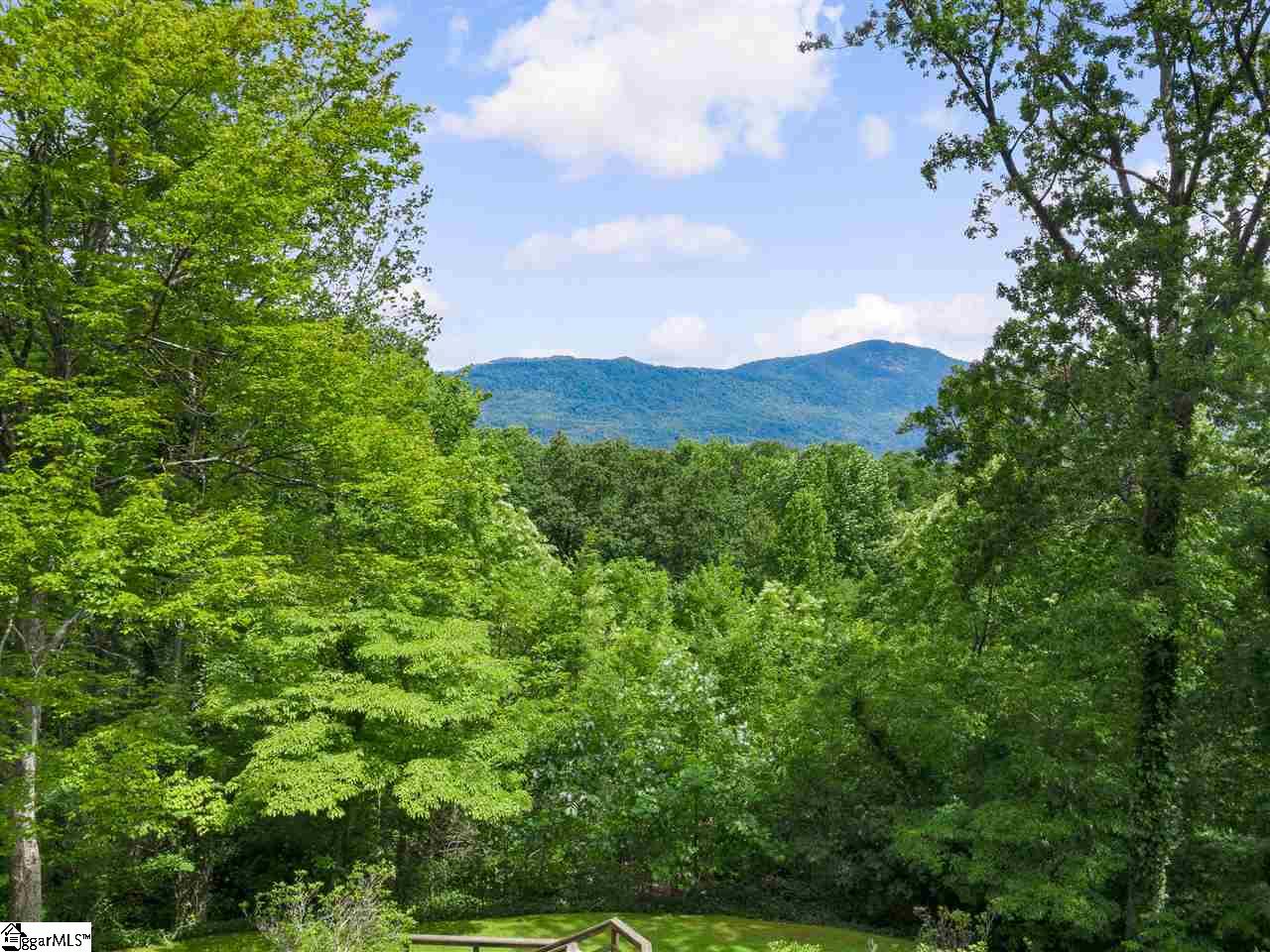 434 Hogback Road Tryon, NC 28782 - Photo 29 of 29