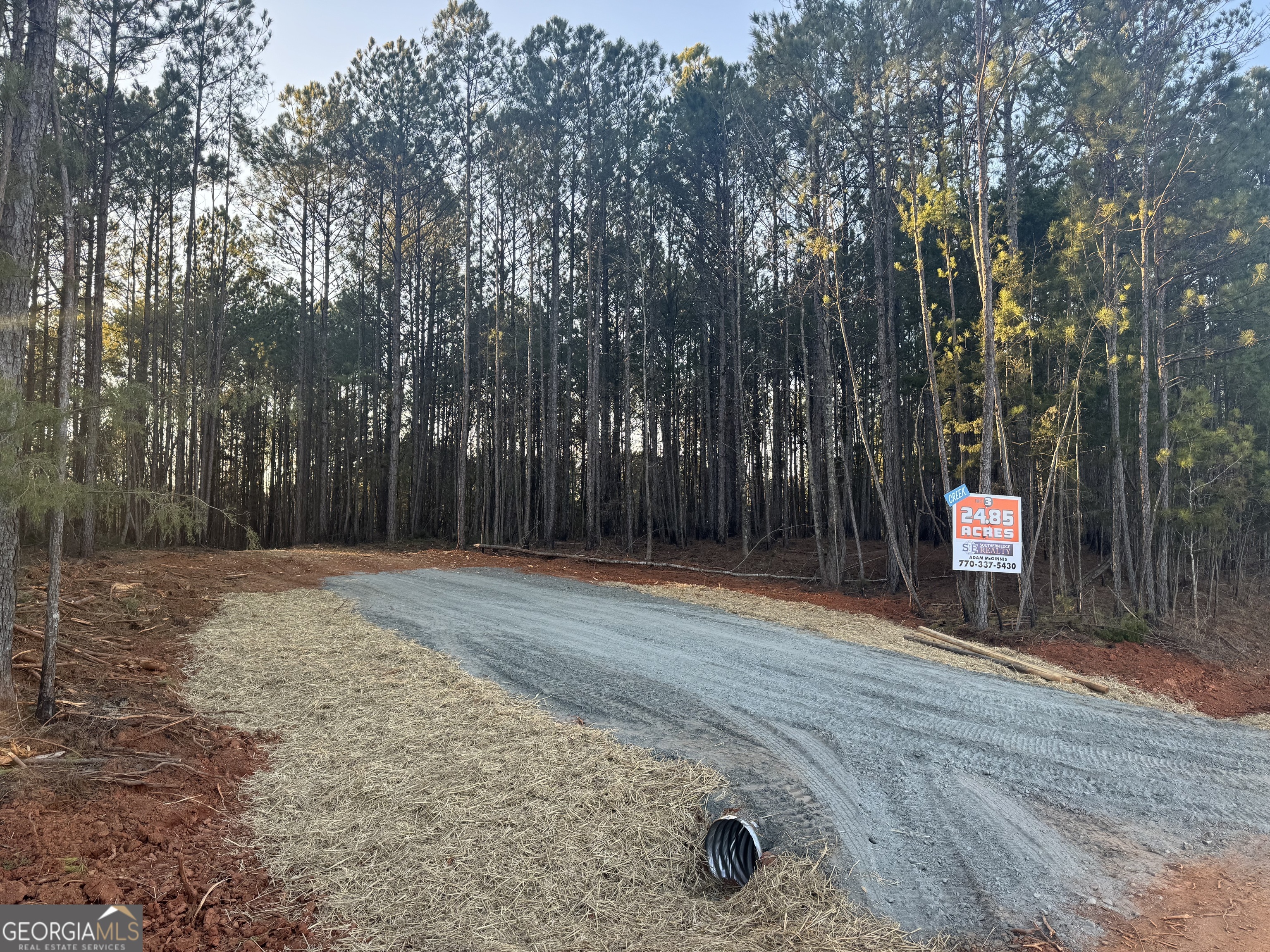 0 Faulkner Road, Unit LOT 3 Monticello, GA 31064 - Photo 1 of 1 Gallery Image 1
