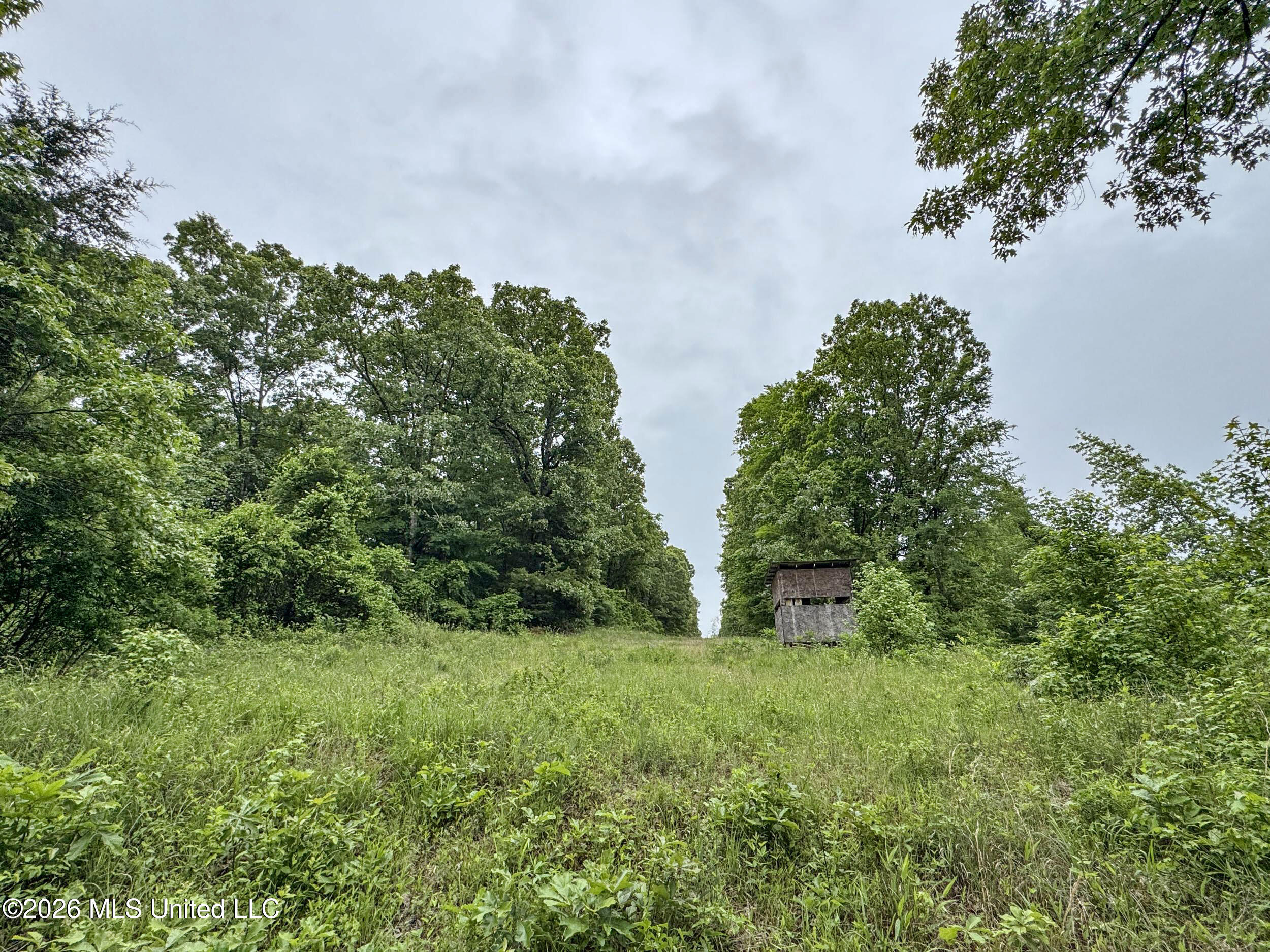 Wayne Massie Road Como, MS 38619 - Photo 110 of 184 5cdtbs44