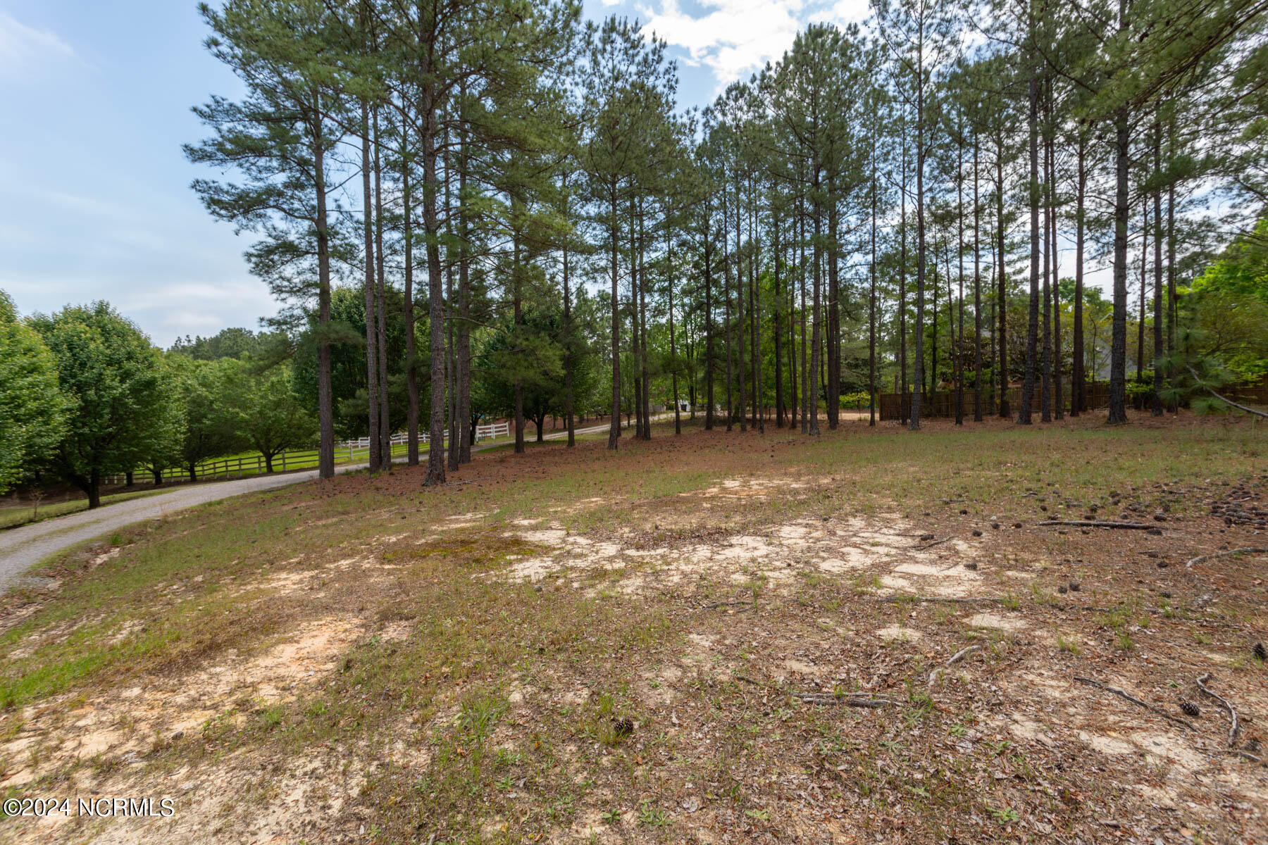 Tbd Shagbark Road West End, NC 27376 - Photo 5 of 7 TBD Shagbark Ct-5